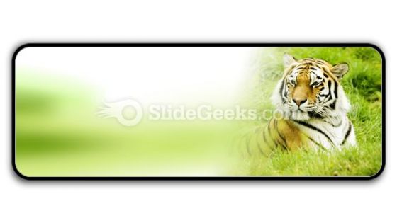Amur Tiger PowerPoint Icon R Amur Tiger PowerPoint Icon R