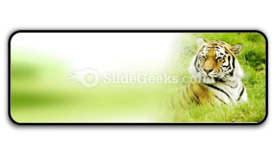 Amur Tiger PowerPoint Icon R