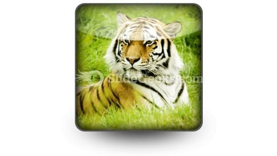 Amur Tiger PowerPoint Icon S