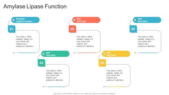 Amylase Lipase Function In Powerpoint And Google Slides Cpb