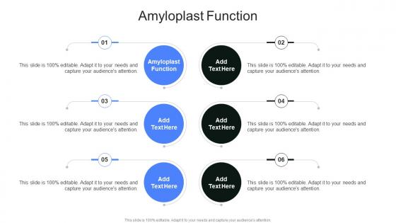 Amyloplast Function In Powerpoint And Google Slides Cpb