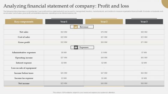 Analyzing Financial Statement Of Company Profit And Loss IT Industry Market Research Formats Pdf