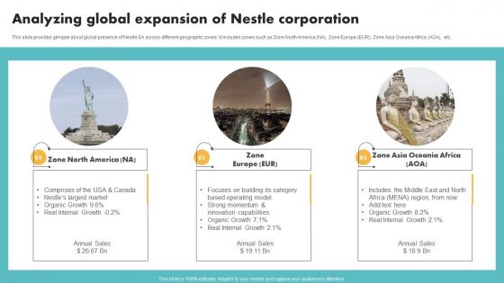 Analyzing Global Expansion Of Nestle Corporation Customer Segmentation Inspiration Pdf