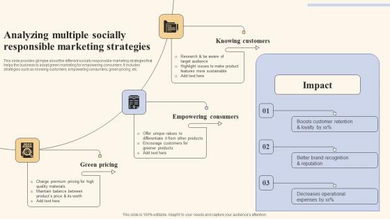 Analyzing Multiple Socially Responsible Holistic Marketing Strategies To Optimize Sample Pdf