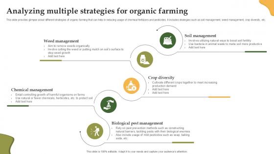 Analyzing Multiple Strategies For Enhancing Productivity With Adoption PPT Template Analyzing Multiple Strategies For Enhancing Productivity With Adoption PPT Template