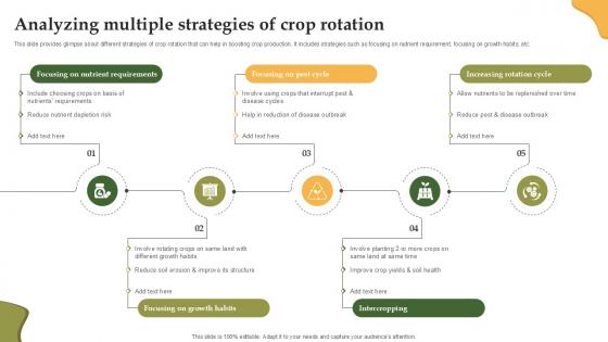 Analyzing Multiple Strategies Of Crop Enhancing Productivity With Adoption PPT PowerPoint Analyzing Multiple Strategies Of Crop Enhancing Productivity With Adoption PPT PowerPoint