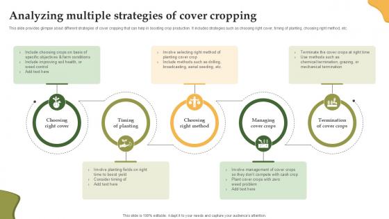 Analyzing Multiple Strategies Of Enhancing Productivity With Adoption PPT Template
