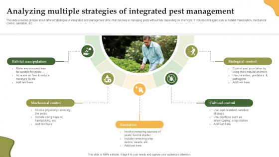Analyzing Multiple Strategies Of Integrated Enhancing Productivity With Adoption PPT PowerPoint
