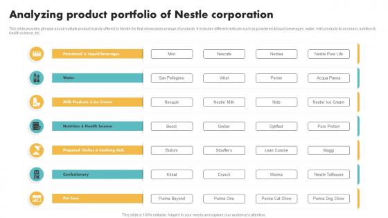 Analyzing Product Portfolio Of Nestle Corporation Customer Segmentation Mockup Pdf