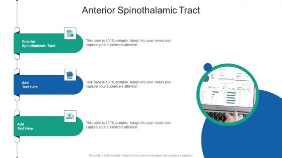 Anterior Spinothalamic Tract In Powerpoint And Google Slides Cpb