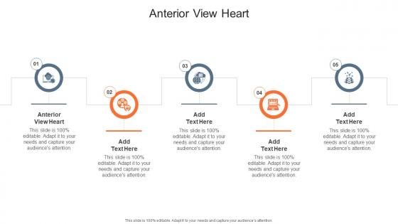 Anterior View Heart In Powerpoint And Google Slides Cpb