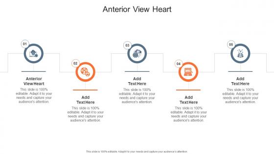 Anterior View Heart In Powerpoint And Google Slides Cpb