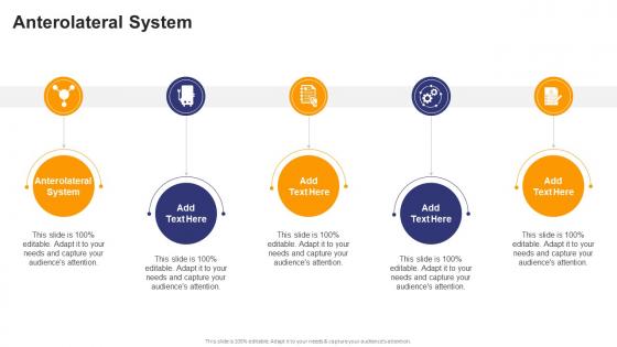 Anterolateral System In Powerpoint And Google Slides Cpb
