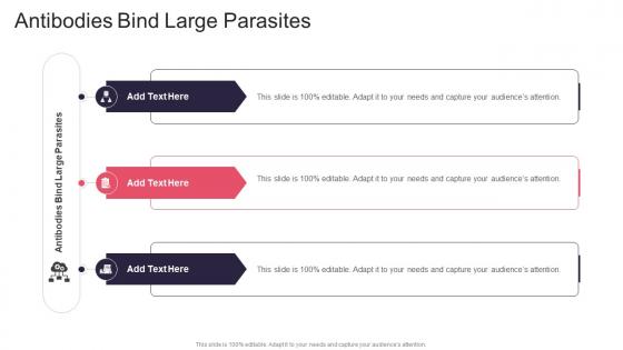 Antibodies Bind Large Parasites In Powerpoint And Google Slides Cpb