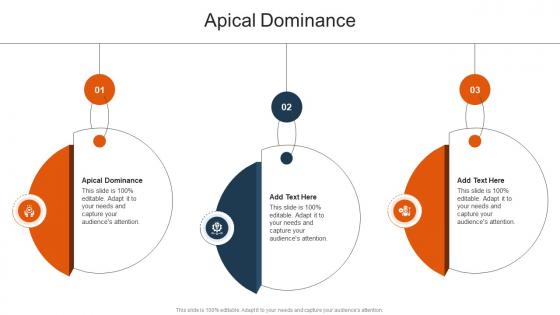Apical Dominance In Powerpoint And Google Slides Cpb Apical Dominance In Powerpoint And Google Slides Cpb