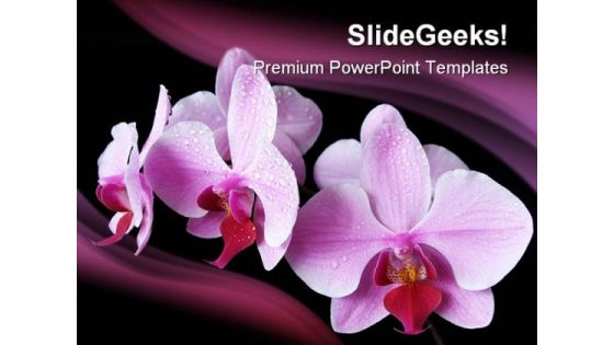 Aplectrum Flower Nature PowerPoint Templates And PowerPoint Backgrounds 0211