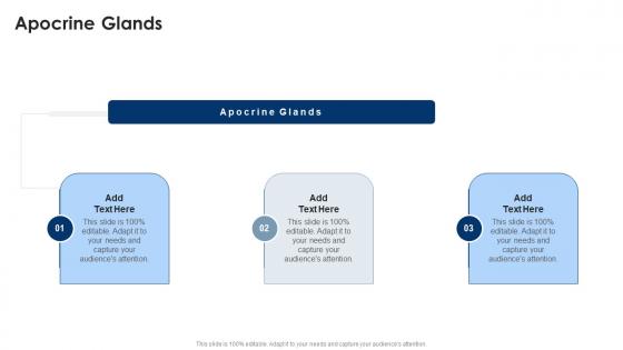 Apocrine Glands In Powerpoint And Google Slides Cpb