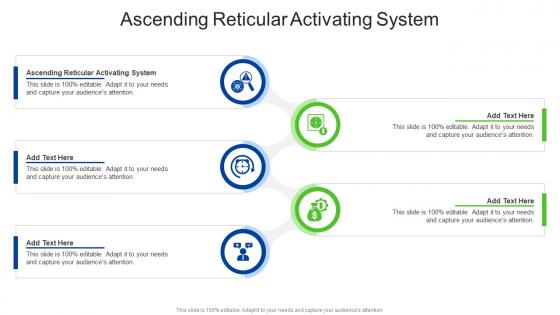 Ascending Reticular Activating System In Powerpoint And Google Slides Cpb Ascending Reticular Activating System In Powerpoint And Google Slides Cpb