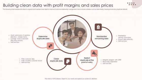 Assessing Sales Risks Building Clean Data With Profit Margins And Sales Prices Template PDF