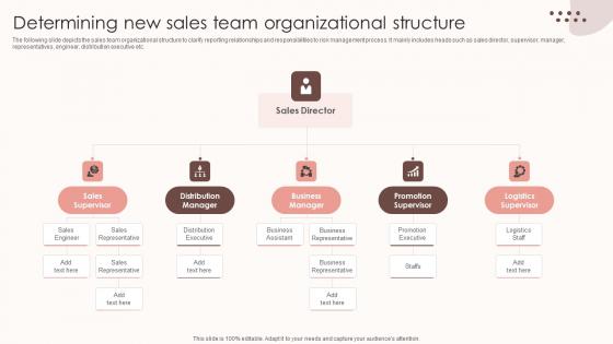 Assessing Sales Risks Determining New Sales Team Organizational Structure Sample PDF