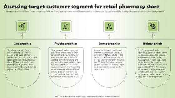 Assessing Target Customer Segment Pharmacy Business Plan Go To Market Strategy Summary Pdf