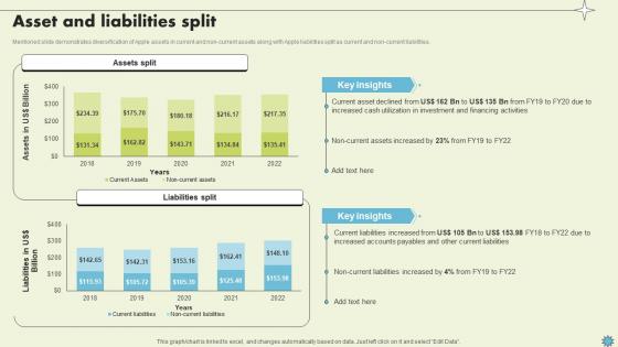 Asset And Liabilities Split Consumer Electronics Company Profile CP SS V