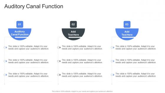 Auditory Canal Function In Powerpoint And Google Slides Cpb