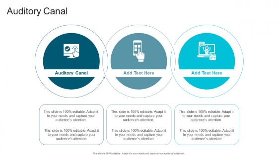 Auditory Canal In Powerpoint And Google Slides Cpb