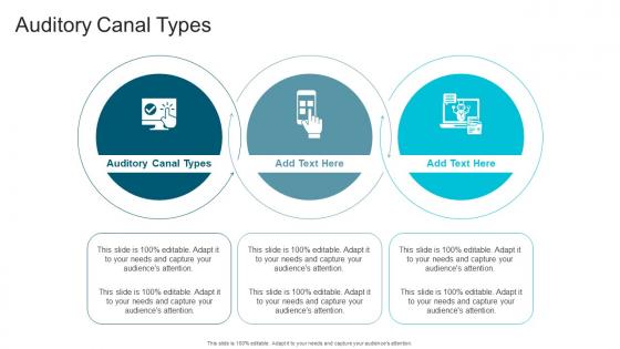 Auditory Canal Types In Powerpoint And Google Slides Cpb Auditory Canal Types In Powerpoint And Google Slides Cpb