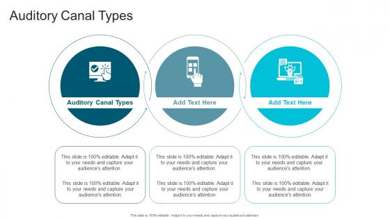 Auditory Canal Types In Powerpoint And Google Slides Cpb