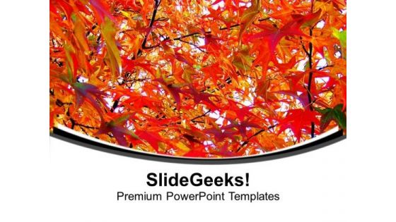 Autumn Abstract Background PowerPoint Templates Ppt Backgrounds For Slides 0613