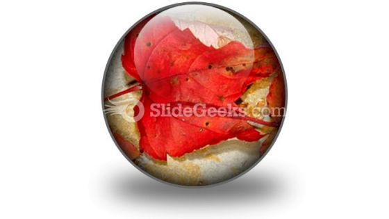 Autumn PowerPoint Icon Autumn PowerPoint Icon