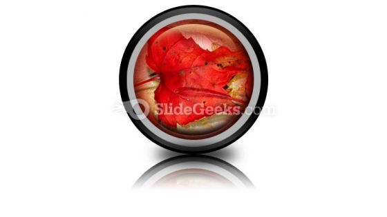 Autumn Icon Cc Autumn Icon Cc
