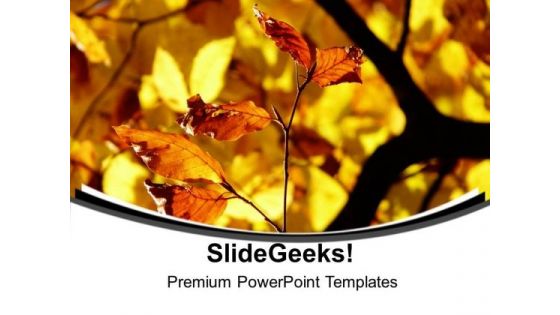 Autumn Leaves Abstract Background PowerPoint Templates Ppt Backgrounds For Slides 0613