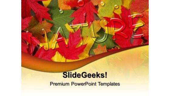 Autumn Leaves Nature PowerPoint Templates And PowerPoint Themes 0512