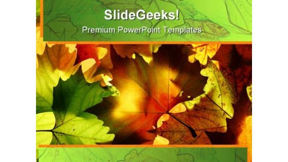 Autumn Leaves Nature PowerPoint Themes And PowerPoint Slides 0511