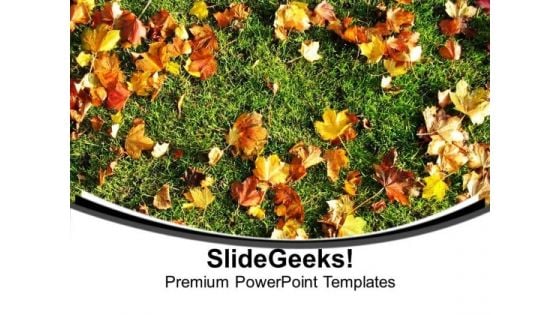 Autumn Leaves On Green Grass PowerPoint Templates Ppt Backgrounds For Slides 0613