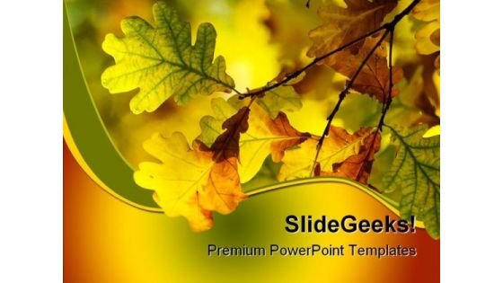 Autumn Leaves Shallow Nature PowerPoint Themes And PowerPoint Slides 0511