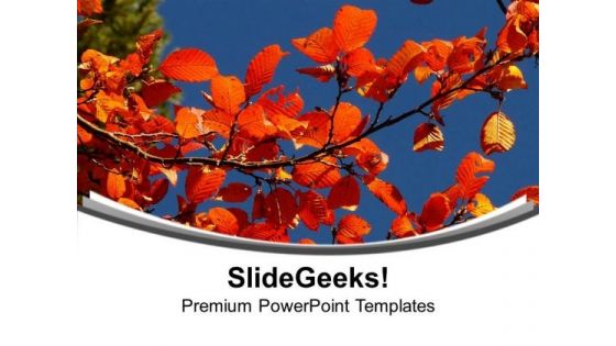 Autumn With Flowers Theme Background PowerPoint Templates Ppt Backgrounds For Slides 0513