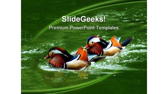 Awesome Colored Ducks Animals PowerPoint Templates And PowerPoint Backgrounds 0211