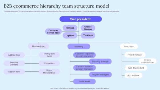 B2B Ecommerce Hierarchy Team B2B Marketing Techniques To Attract Potential Diagrams Pdf