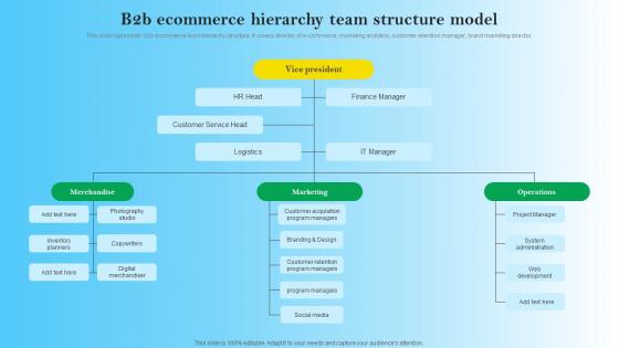 B2B Ecommerce Hierarchy Team Structure Model B2B Digital Commerce Structure Pdf
