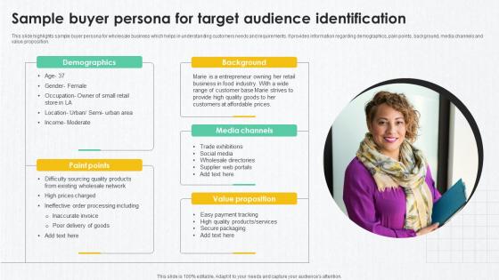 B2B Marketing Techniques Sample Buyer Persona For Target Audience Identification B2B Marketing Techniques Sample Buyer Persona For Target Audience Identification