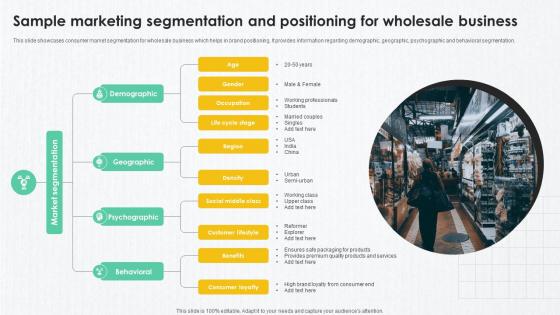 B2B Marketing Techniques Sample Marketing Segmentation And Positioning