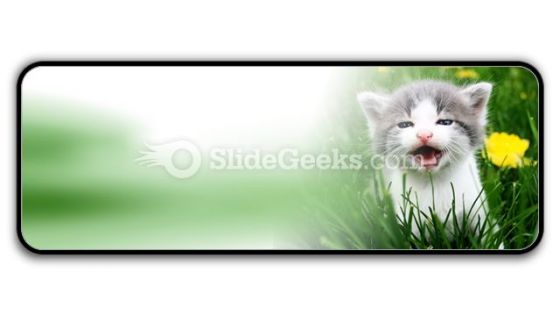 Baby Cat PowerPoint Icon R Baby Cat PowerPoint Icon R