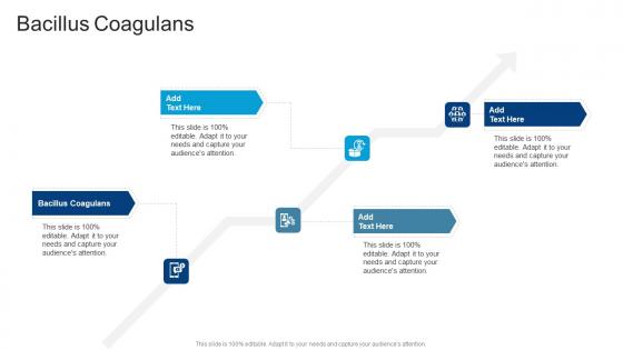 Bacillus Coagulans In Powerpoint And Google Slides Cpb