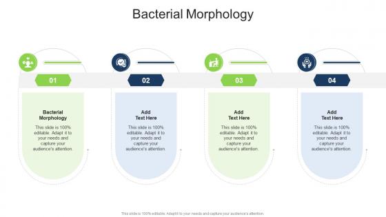 Bacterial Morphology In Powerpoint And Google Slides Cpb