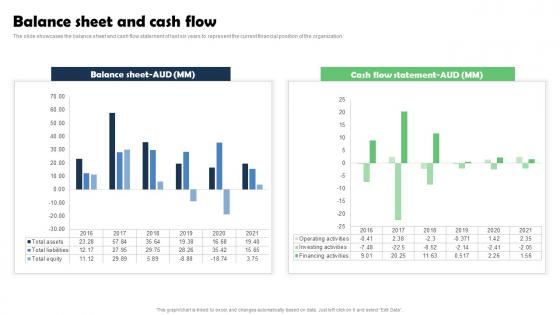 Balance Sheet And Cash Flow Marketing Research Services Management Business Designs Pdf