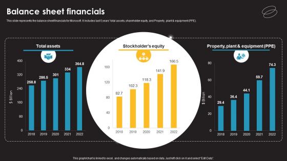 Balance Sheet Financials Information Technology Services Provider Company Profile CP SS V