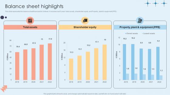 Balance Sheet Highlights Home Care Solutions Company Profile CP SS V